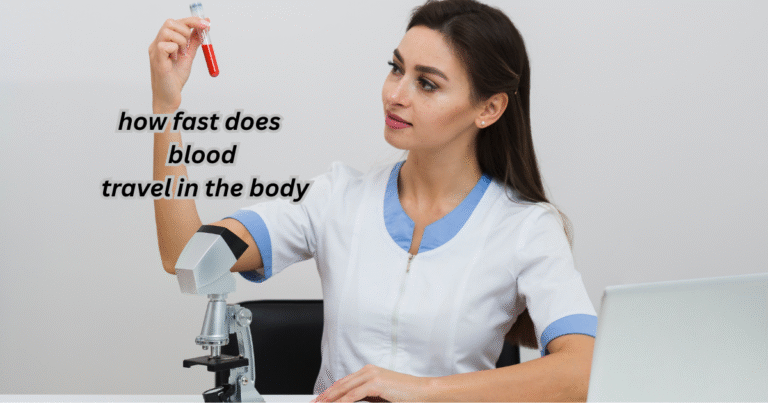 how fast does blood travel in the body